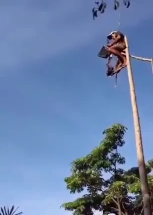 Preview for DaoTrung1986 f34a08