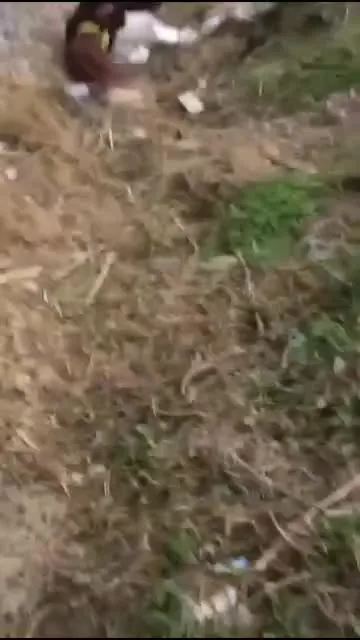 Preview for 5387321752